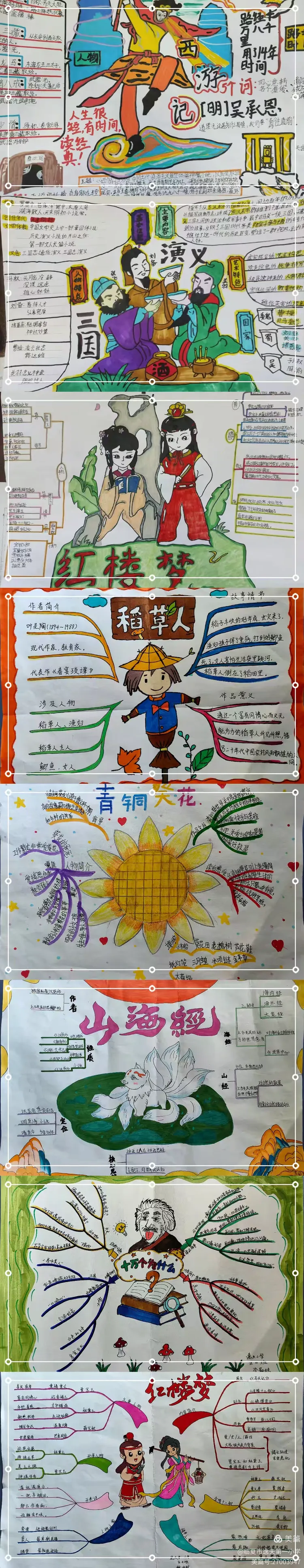 —临夏市逸夫第一小学阅读系列活动之五年级组思维导